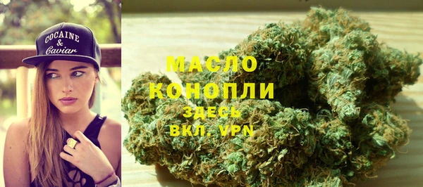 гашик Каменка