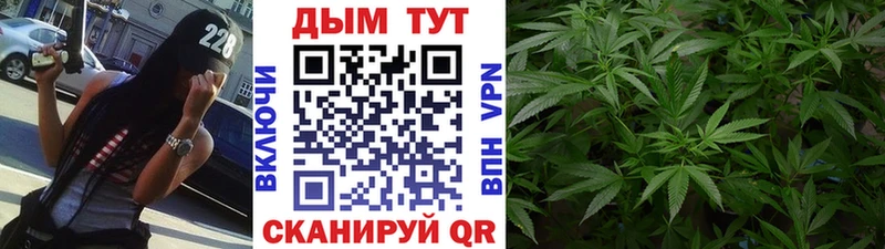 Бошки марихуана THC 21% Алзамай